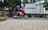 Hà Nội đẹp lạ lùng trong màu trắng hoa sưa